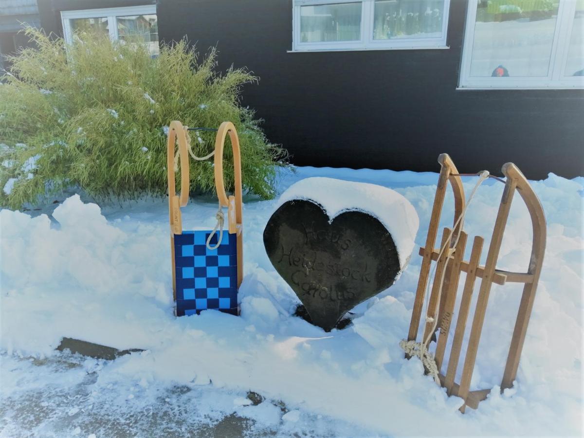 Bergchalet Heidestock Willingen  Εξωτερικό φωτογραφία
