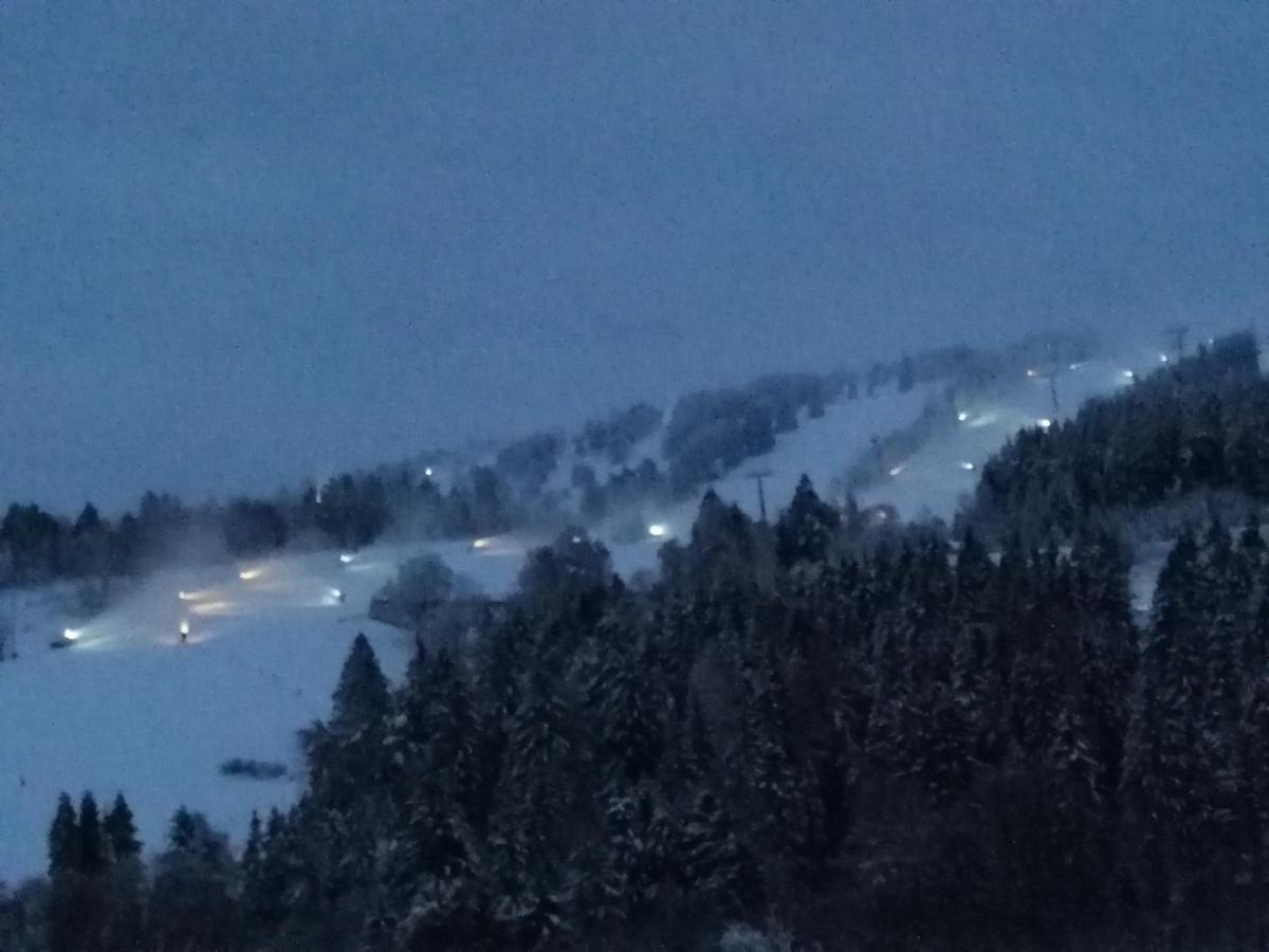 Bergchalet Heidestock Willingen  Εξωτερικό φωτογραφία